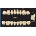 6361, Naperce Posterion- зубы акриловые, жевательные,планка 8 шт., , 260р., NP, Yamahachi, Акриловые зубы
