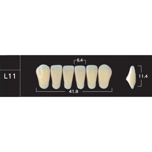 New Ace - зубы акриловые, фронтальные нижние, планка 6 шт