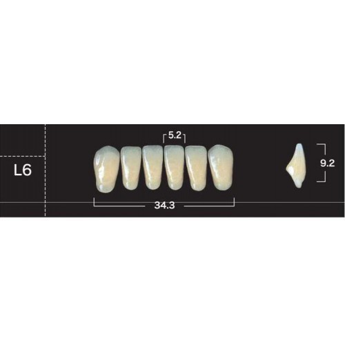 New Ace - зубы акриловые, фронтальные нижние, планка 6 шт