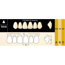 CROWN PX Anterior - Зубы композитные трёхслойные фронтальные нижние