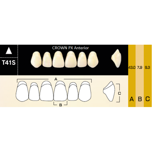 6624, CROWN PX Anterior - Зубы композитные трёхслойные фронтальные верхние, , 865р., CPX, Yamahachi, Акриловые зубы