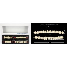 Crown PX - Зубы композитные трёхслойные, полный гарнитур: Фронтальные Crown ; боковые EFUCERA